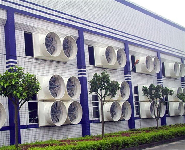 ؓ���L�C����